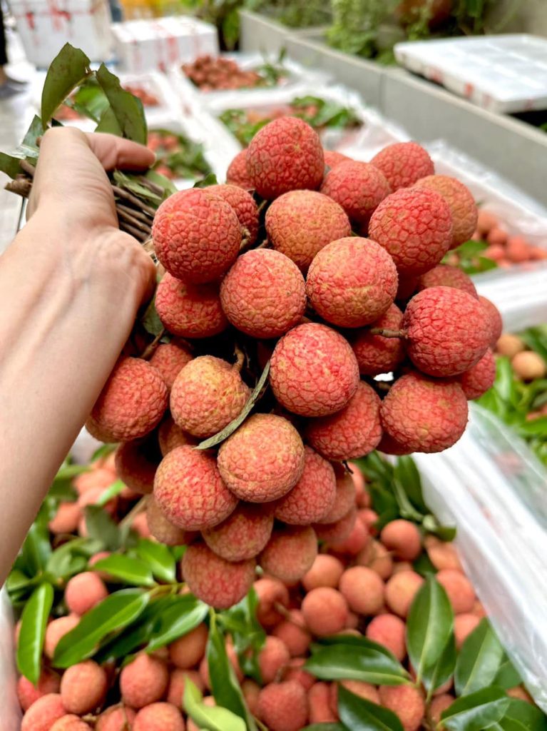 Vải thiều hữu cơ chín hồng đẹp mắt