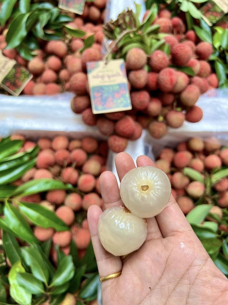 Vải thiều Lục Ngạn hữu cơ ngọt thơm