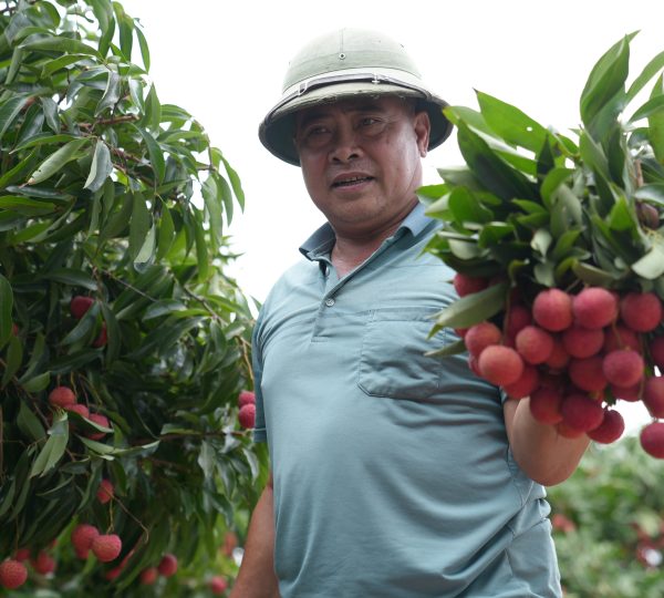 Người nông dân bên thành quả của mình