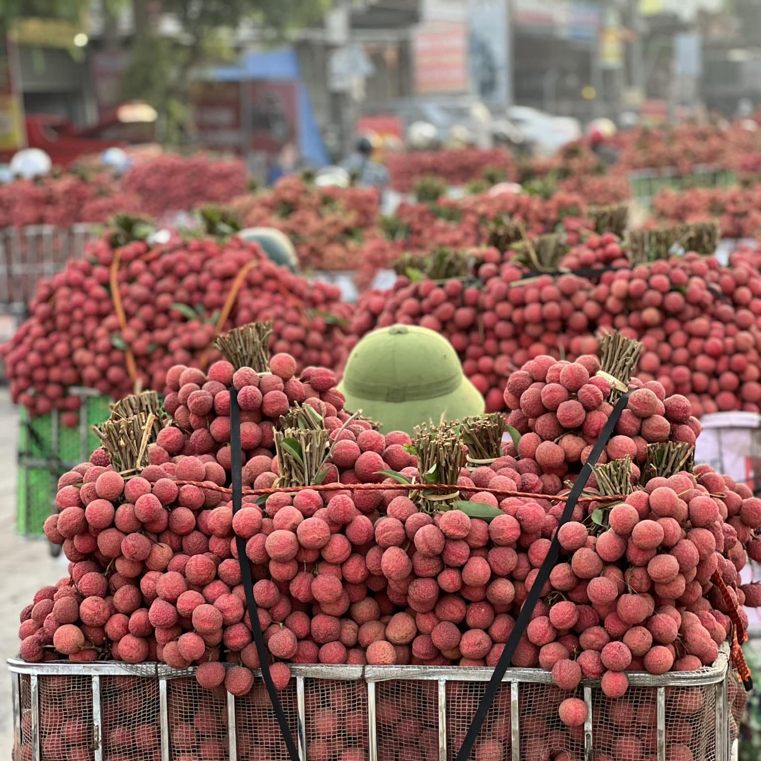 Nâng cao vị thế trái vải trên bản đồ trái cây thế giới