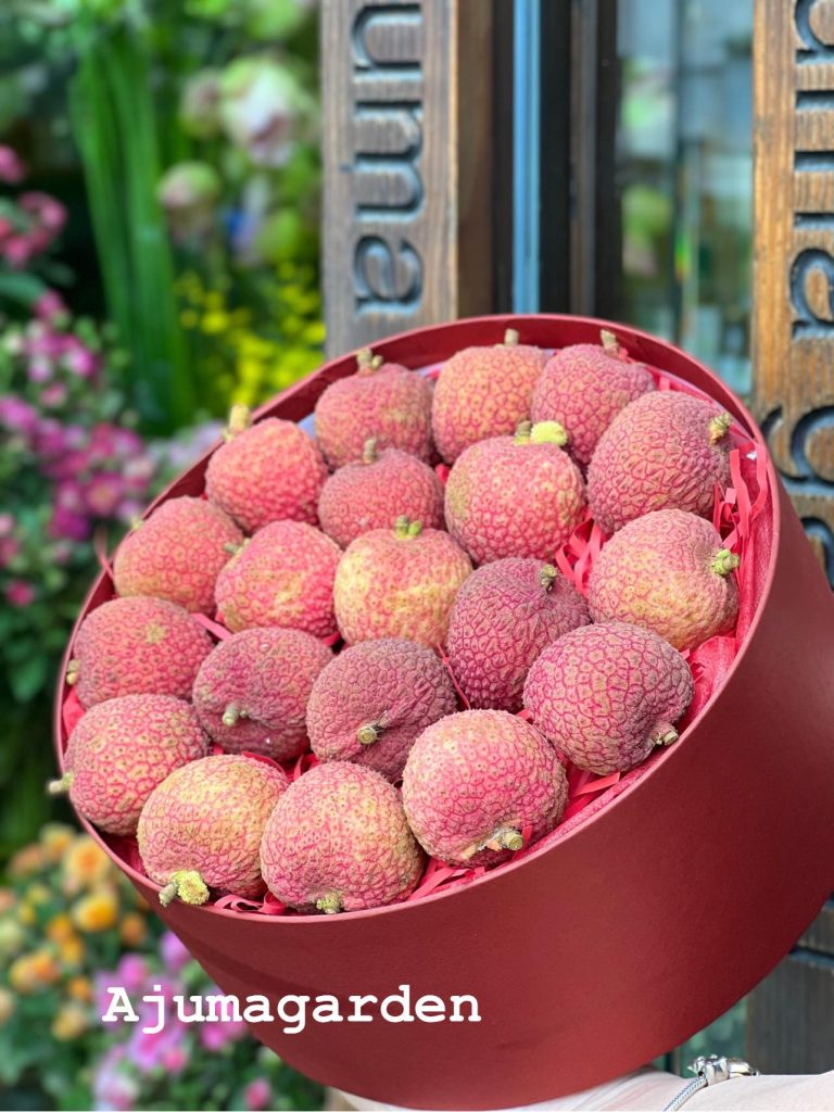 Giới thiệu giống vải không hạt, vải Ngọc Lặc