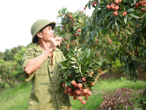 Nụ cười hạnh phúc của người nông dân