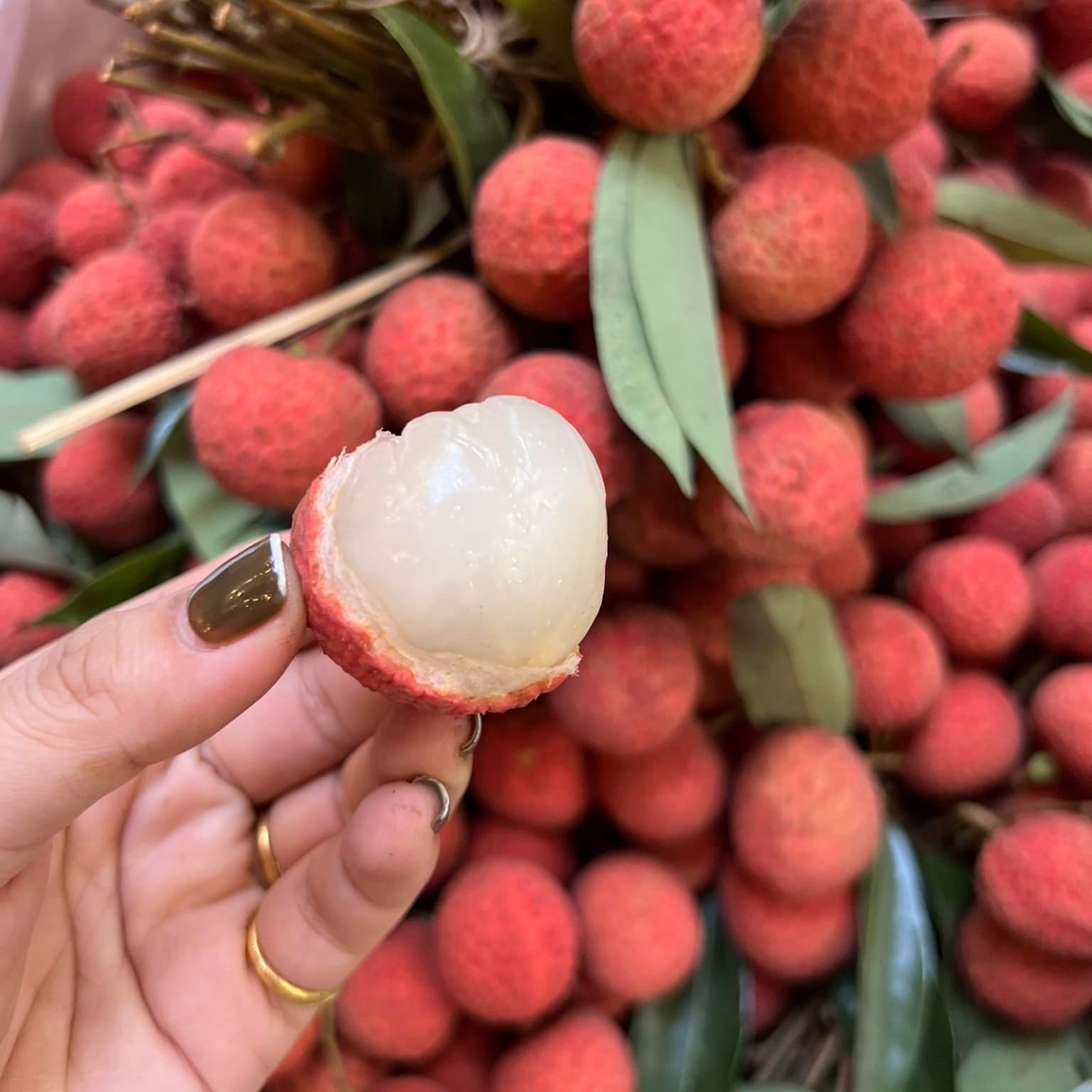 Vải Thiều Lai